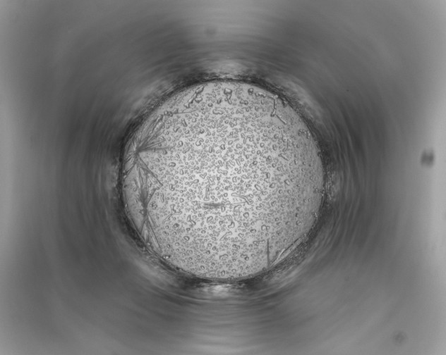 X0000090750365200708101730