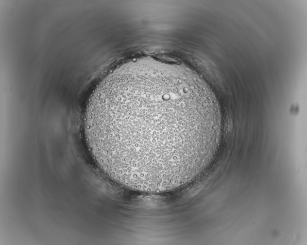 X0000090750367200708101730