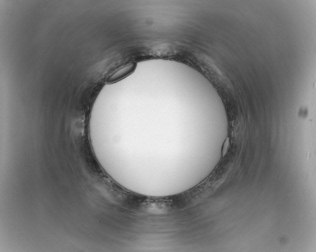 X0000090750368200708101730