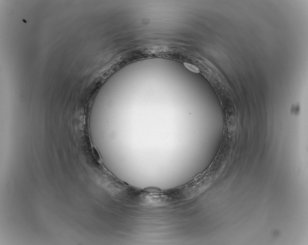 X0000090750372200708101730