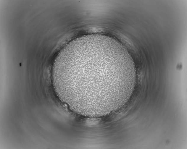 X0000090750373200708101730