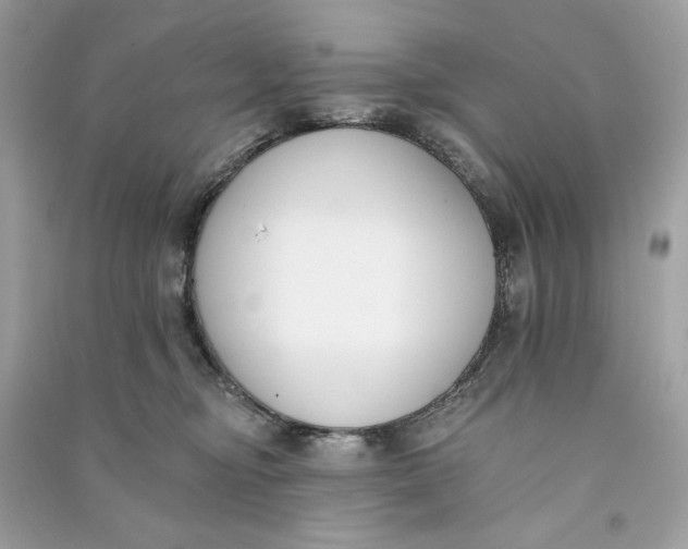 X0000090750374200708101730