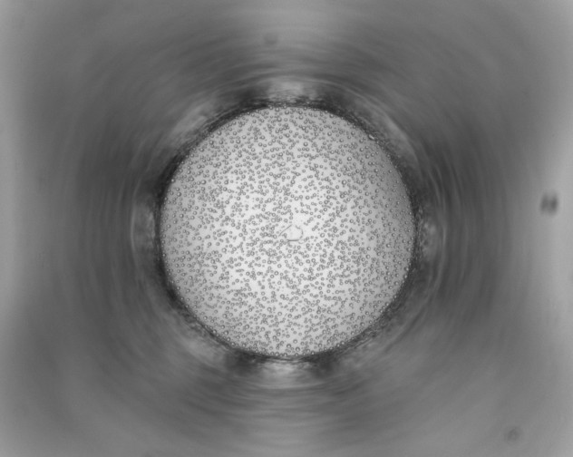 X0000090750375200708101730