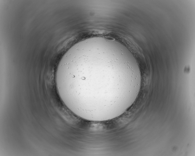 X0000090750376200708101730