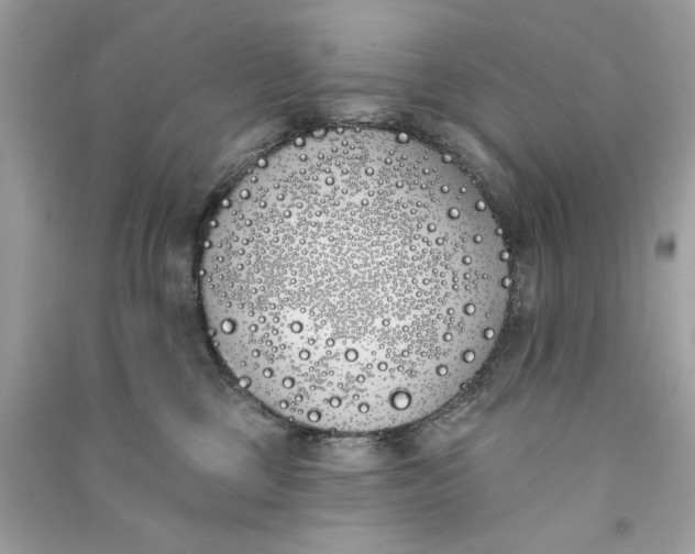 X0000090750377200708101730