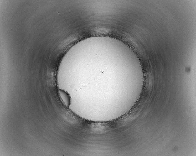 X0000090750378200708101730