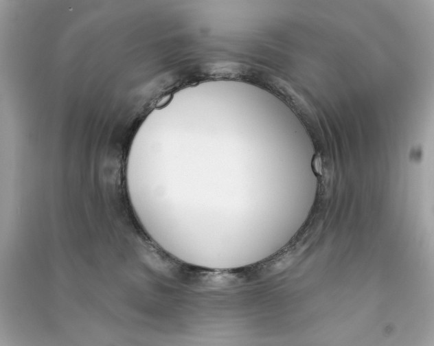X0000090750379200708101730