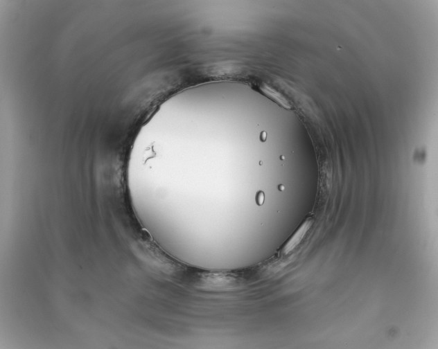 X0000090750380200708101730
