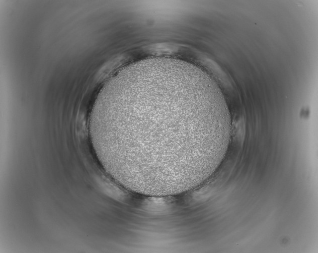 X0000090750381200708101730