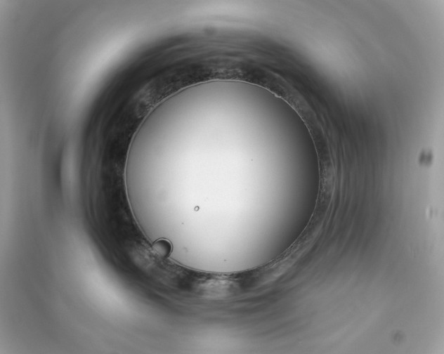 X0000090750383200708101730