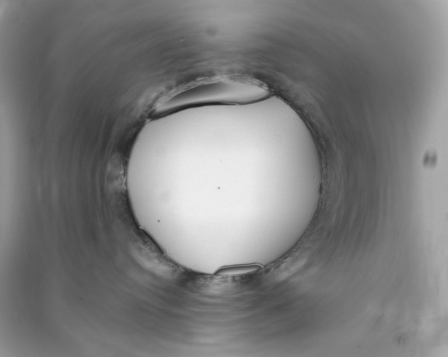 X0000090750384200708101730