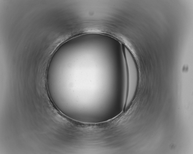 X0000090750385200708101730