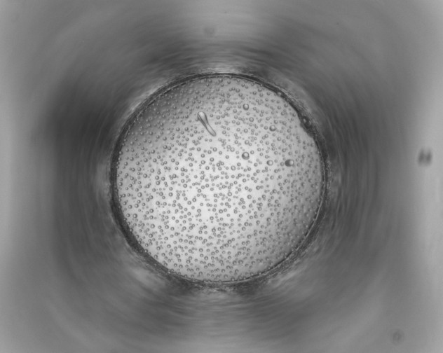 X0000090750386200708101730
