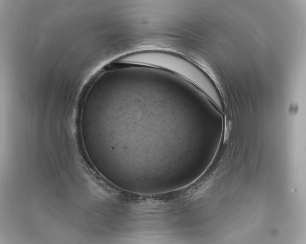 X0000090750387200708101730