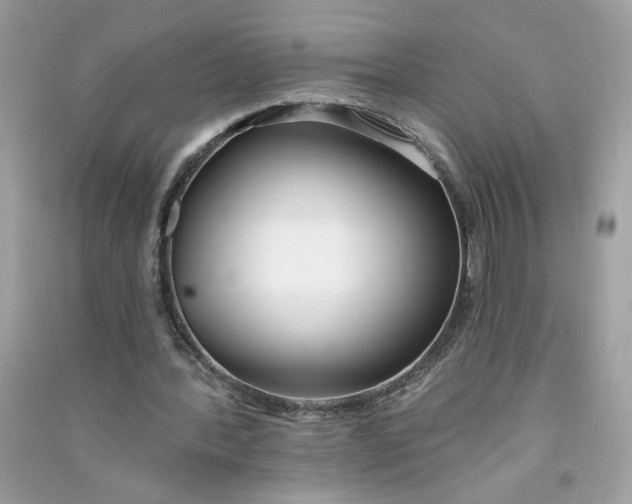 X0000090750388200708101730