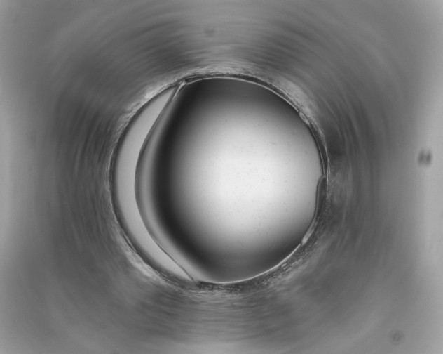 X0000090750389200708101730