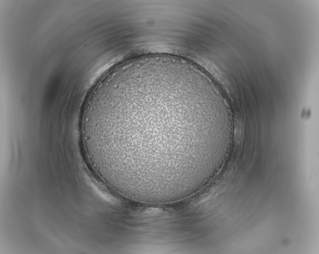 X0000090750390200708101729