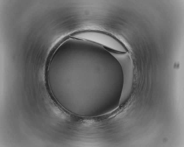 X0000090750391200708101729
