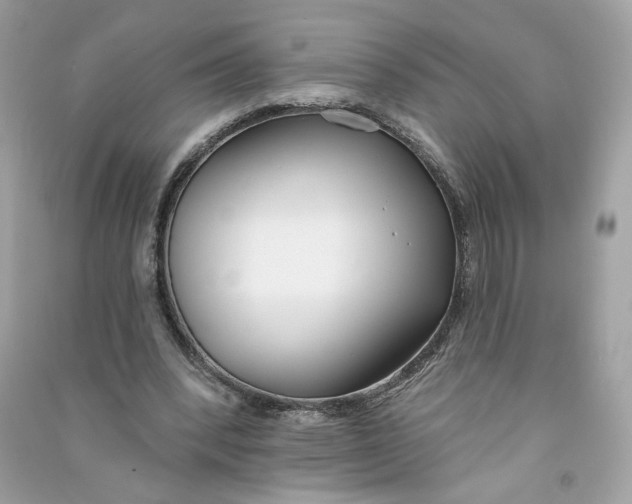 X0000090750392200708101729