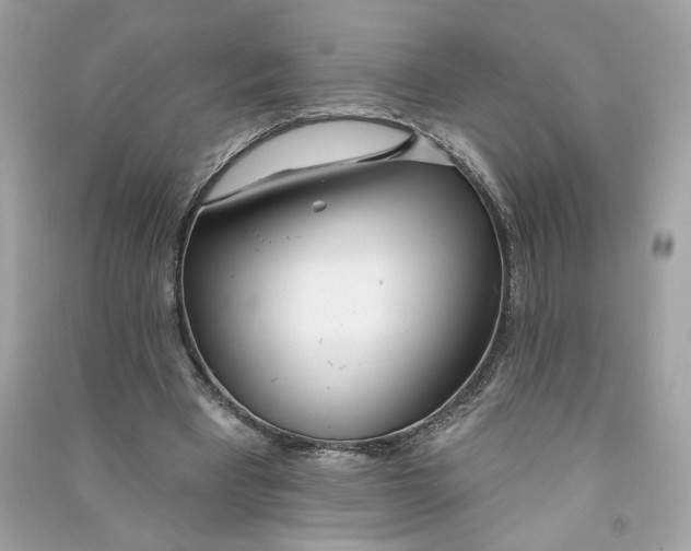 X0000090750393200708101729