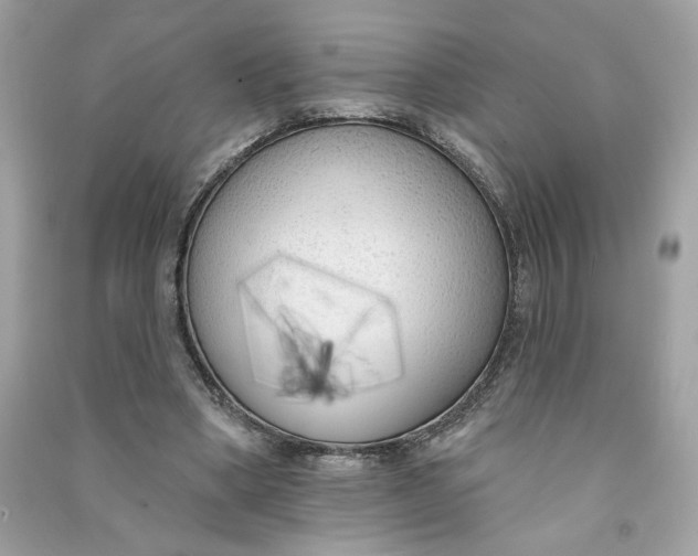 X0000090750394200708101729