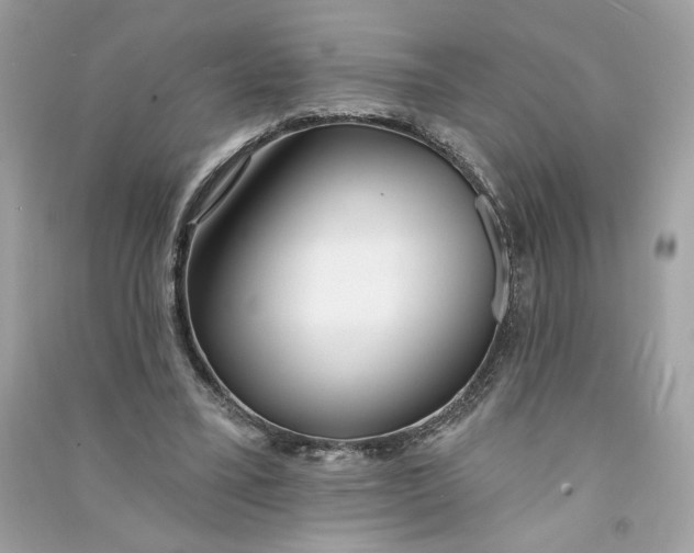 X0000090750395200708101729