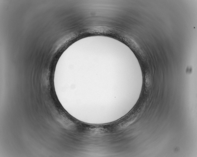 X0000090750396200708101729