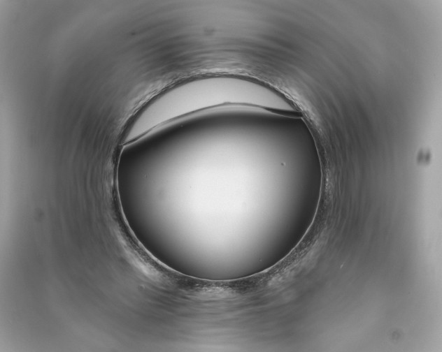 X0000090750397200708101729