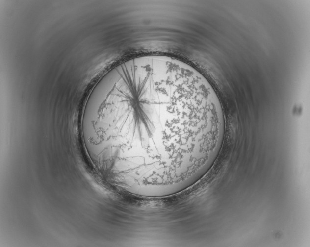 X0000090750398200708101729