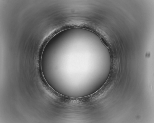 X0000090750399200708101729