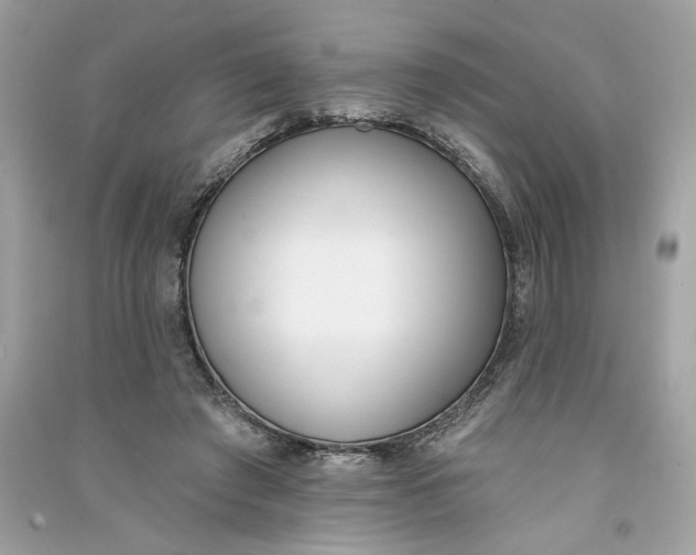 X0000090750401200708101729