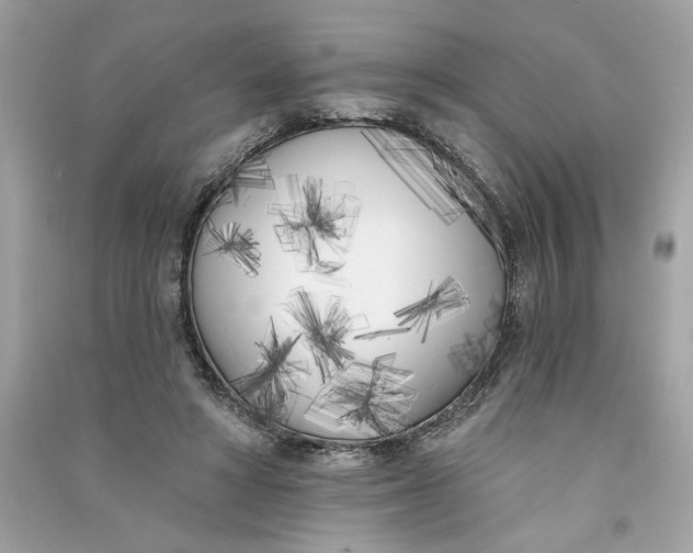 X0000090750402200708101729