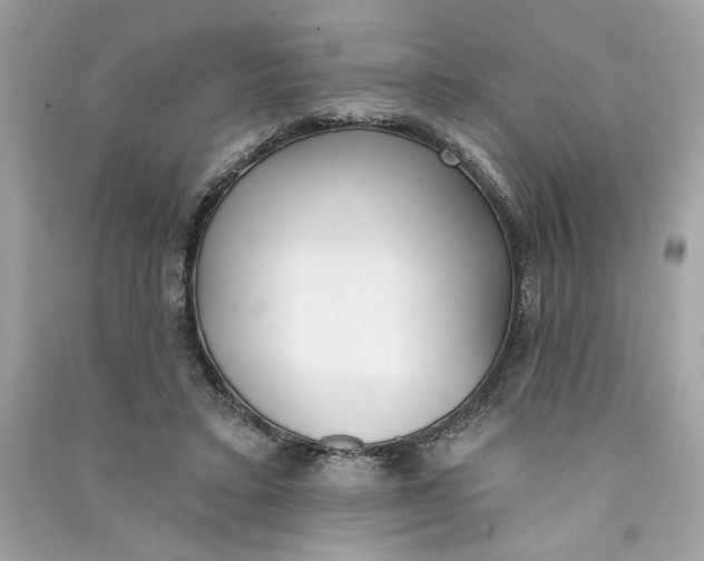 X0000090750403200708101729