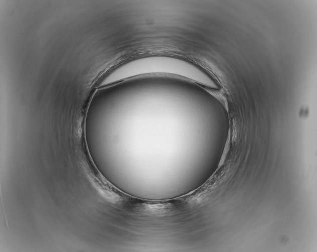 X0000090750405200708101729