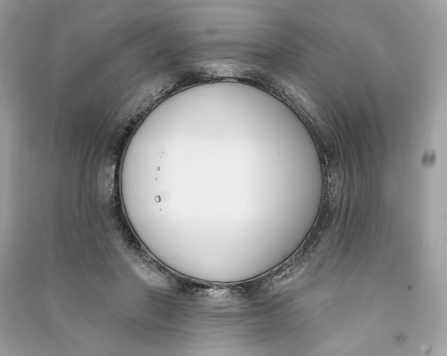 X0000090750406200708101729