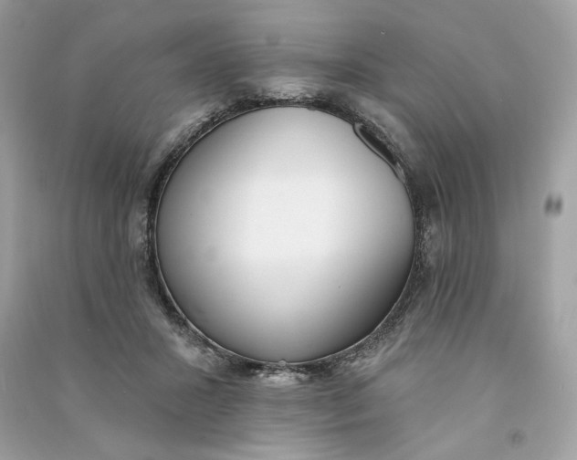 X0000090750407200708101729