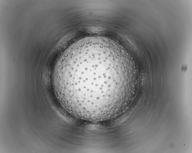 X0000090750408200708101729