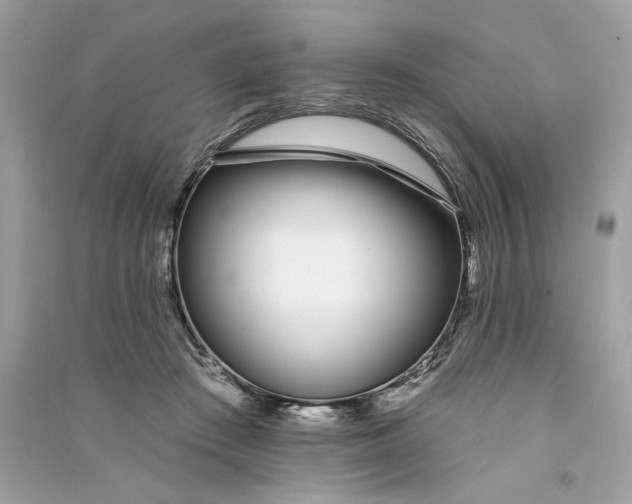 X0000090750409200708101729