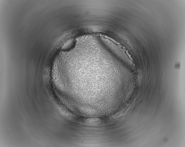 X0000090750410200708101729