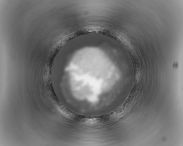 X0000090750411200708101729