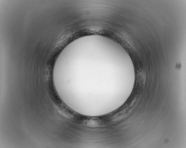 X0000090750412200708101729
