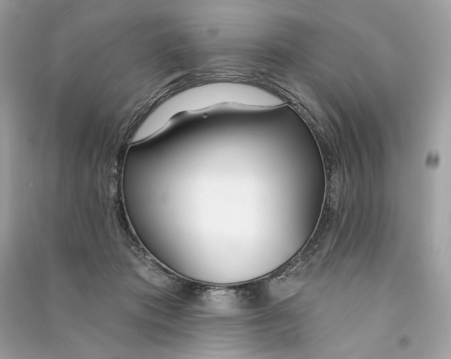 X0000090750413200708101729