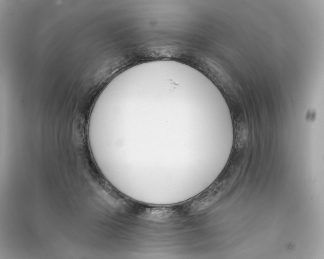 X0000090750414200708101729