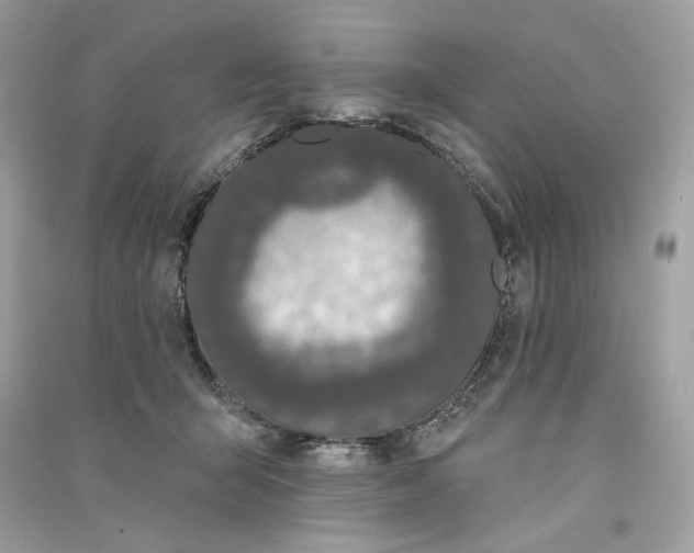 X0000090750415200708101729