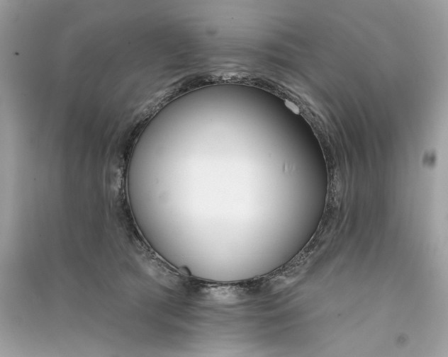 X0000090750417200708101729