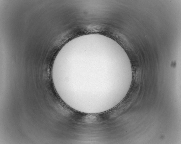 X0000090750418200708101729
