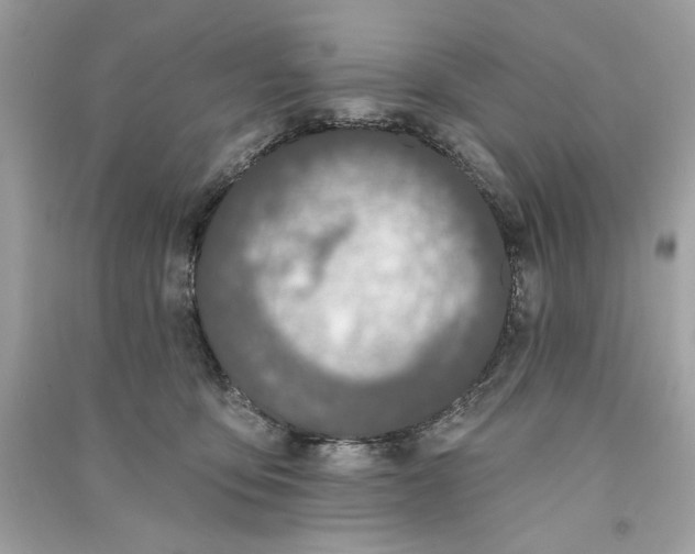 X0000090750419200708101729