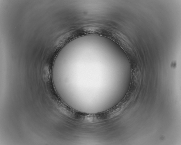 X0000090750420200708101729