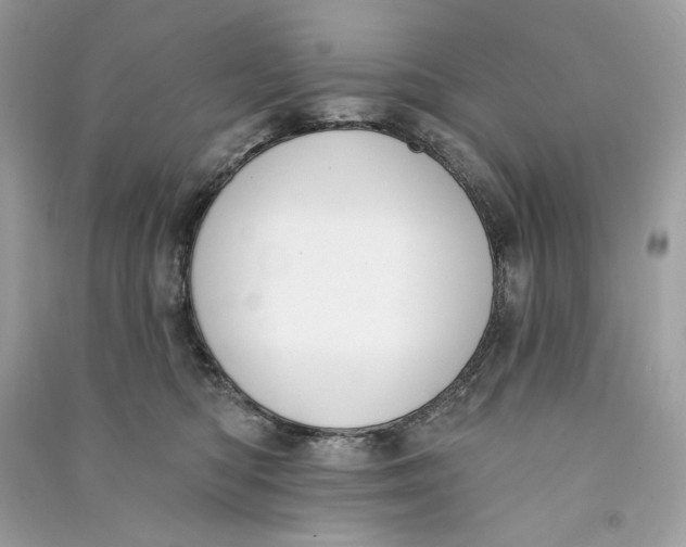 X0000090750422200708101729