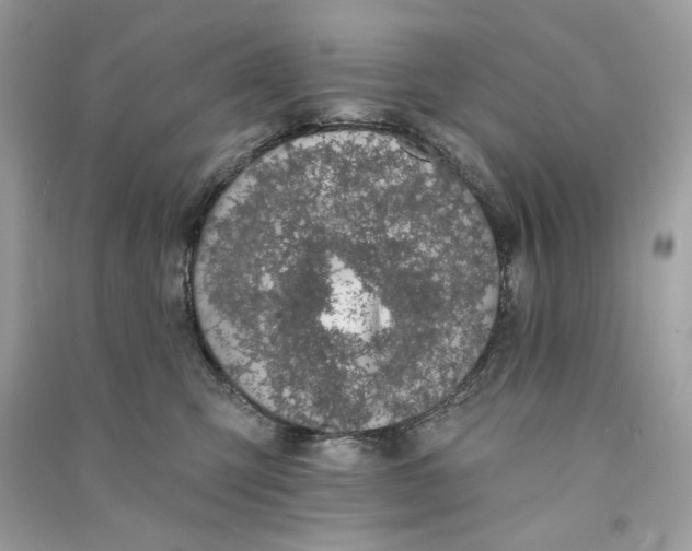 X0000090750423200708101729